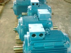 Y160M1-2 11KW电机 食品机械设备中的动力核心